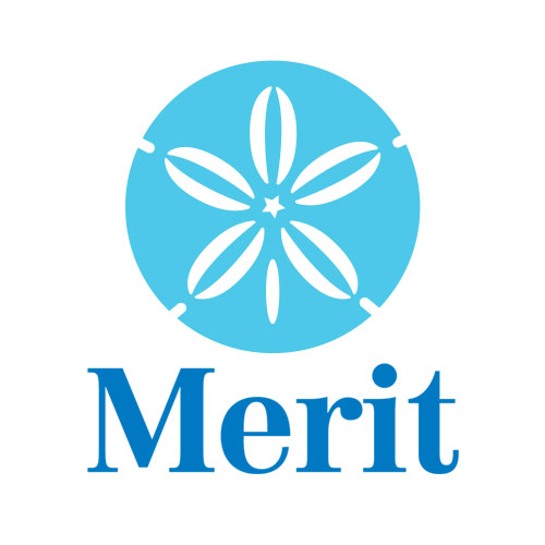 Merit Institute Pc Publications - 